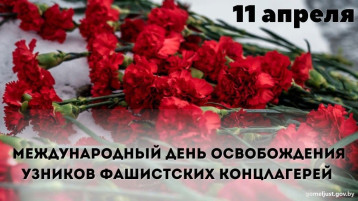 Международный день освобождения узников концлагерей Международный день освобождения узников концлагерей.