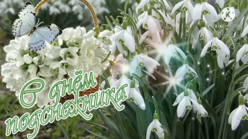 День подснежника День подснежника.