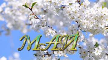 Наступает месяц -май Наступает месяц -май.