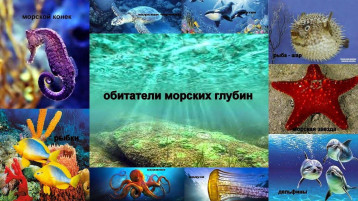 Самые уникальные обитатели морских глубин для дошкольников. Самые уникальные обитатели морских глубин для дошкольников.
