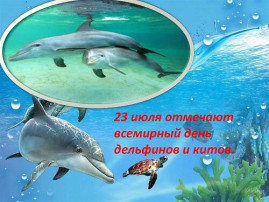 23 Июля - День китов и дельфинов! 23 Июля - День китов и дельфинов!.