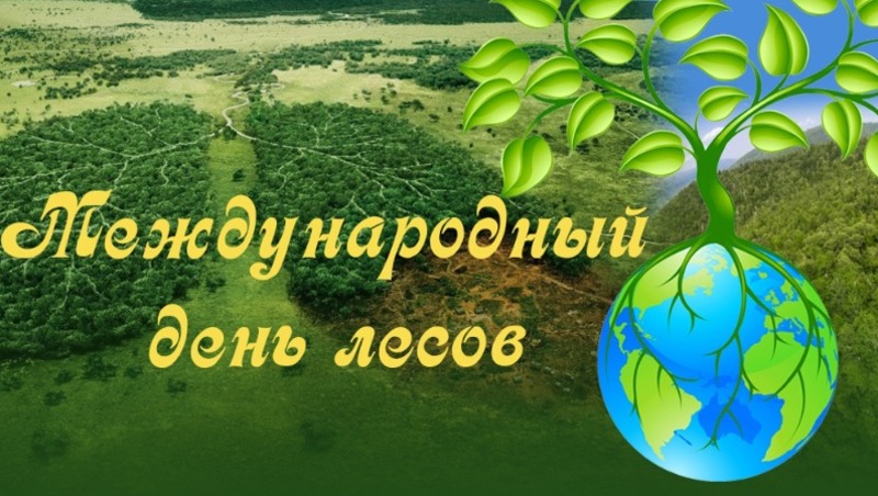 Международный день леса Международный день леса.