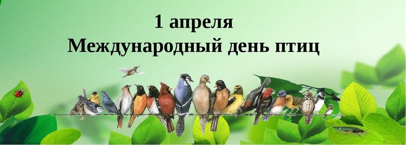 Международный день птиц Международный день птиц.