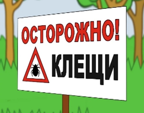 Осторожно-клещи! Осторожно-клещи!.