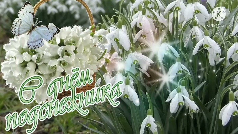 День подснежника День подснежника.